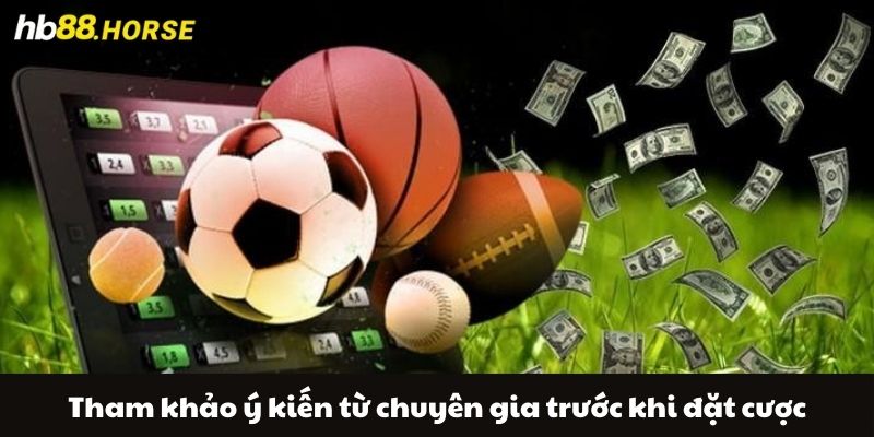 Tham khảo ý kiến từ chuyên gia trước khi đặt cược