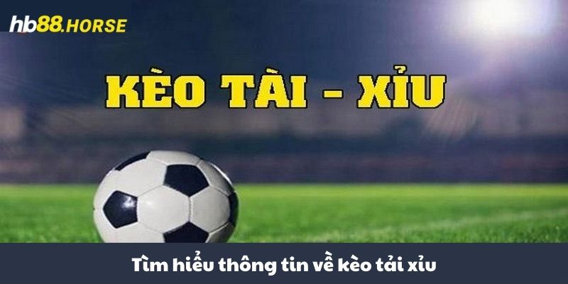 Tìm hiểu thông tin về kèo tài xỉu