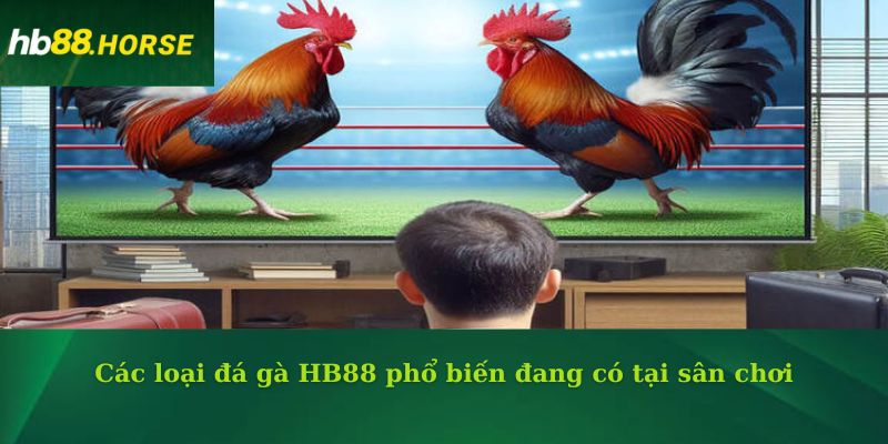 Các loại đá gà HB88 phổ biến đang có tại sân chơi