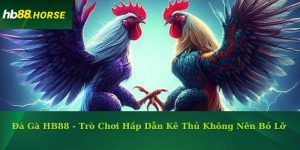 Đá Gà HB88 - Trò Chơi Hấp Dẫn Kê Thủ Không Nên Bỏ Lỡ