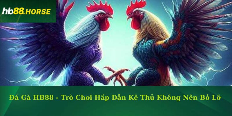 Đá Gà HB88 - Trò Chơi Hấp Dẫn Kê Thủ Không Nên Bỏ Lỡ