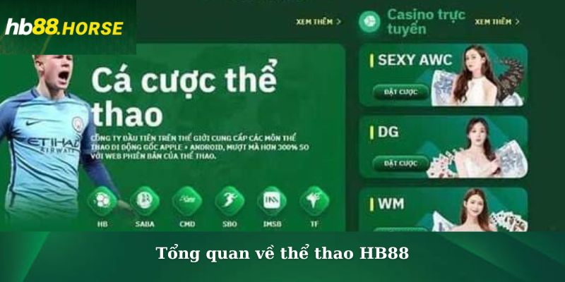 Tổng quan về thể thao HB88